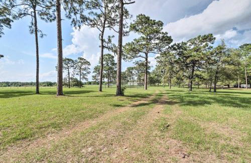 Quaint and Quiet Belleview Cabin on 35 Acres! - Foto 26