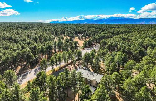 Luxury Retreat with Hot Tub Fire Pit & Forest Views - Foto 62