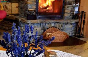 Domek Kojsówka - Foto 39