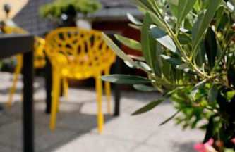 Haus der Weine - Foto 8