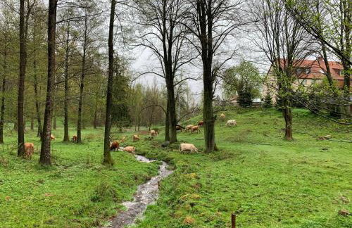 Agroturystyka Zacisze - Foto 10