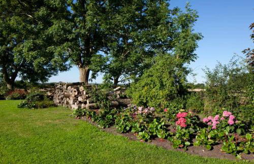 Kiekutsland - Foto 63