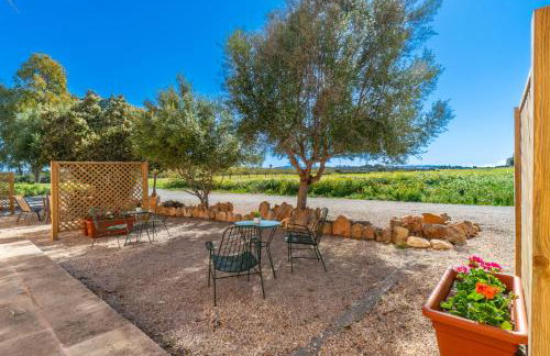 Finca Agroturismo Sa Cova den Borino - Photo 112