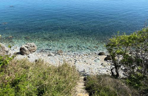 Traditional village house - Foto 35