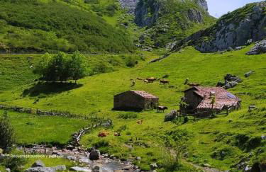 Casa Cuevas - Foto 25