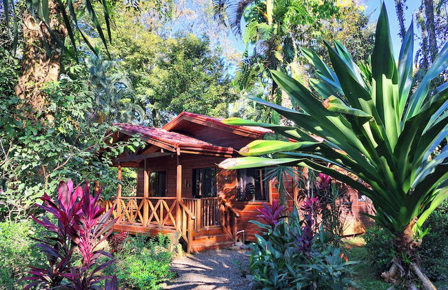 Cabinas Costa Tropicana - Foto 10