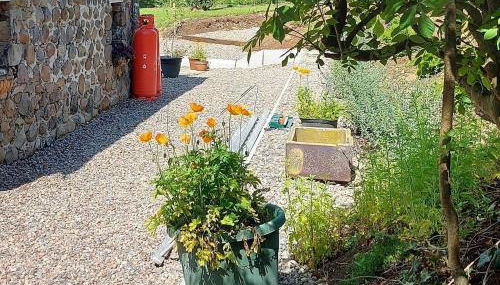 Blackshaw's Studio - Foto 5