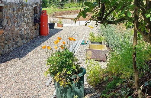 Blackshaw's Studio - Foto 5