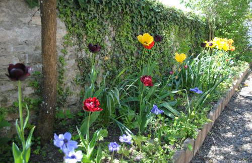 Gites Les Rainettes - Foto 18