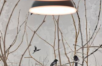 Zdrojowe Zacisze - Foto 12