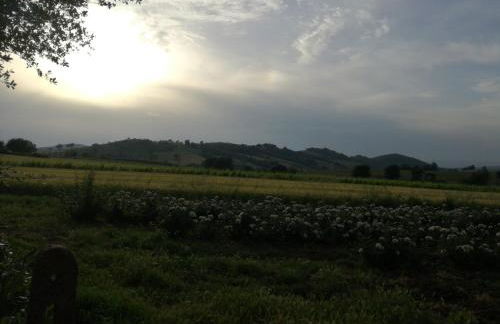 Agriturismo cavallin del papa - Foto 39