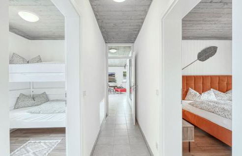 Admiral Vanessa - Foto 23