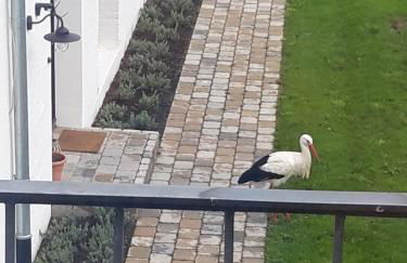 Ferienwohnung Storchennest - Foto 34