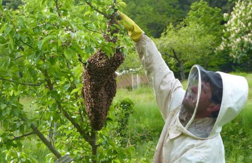 Agriturismo Giandriale - Foto 25