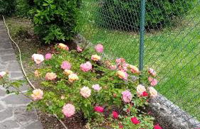 villetta le palme - Foto 14