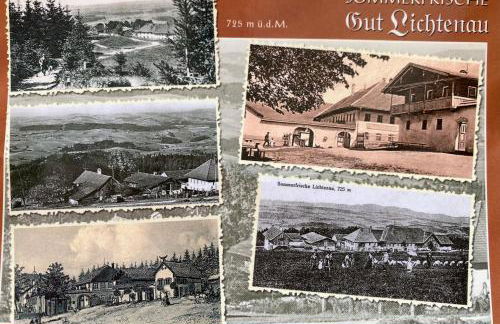 Berg-Panorama-Ferienwohnungen Gut-Lichtenau - Foto 59