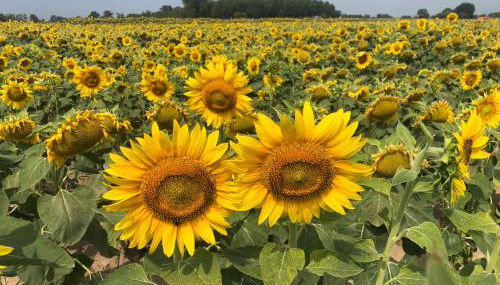 Appartamento Zia Ninìn - la gioia di un tempo! - Foto 5, Other