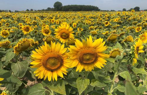 Appartamento Zia Ninìn - la gioia di un tempo! - Foto 5