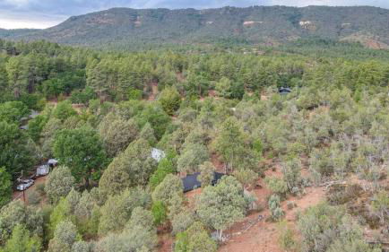 NEW! Hillside Getaway in the Pines, Games, Poker - Foto 44