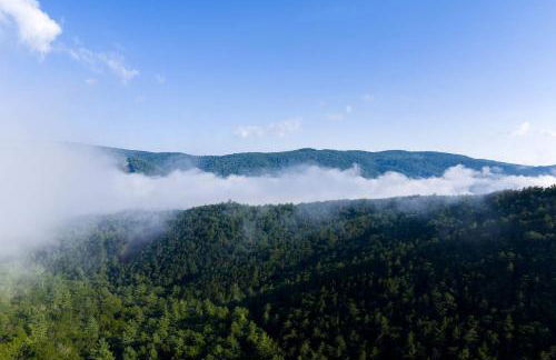 Luxurious A-Frame Mountain Retreat with Hot Tubs & Game Room Near Seneca Rocks, Milam, WV - Foto 76