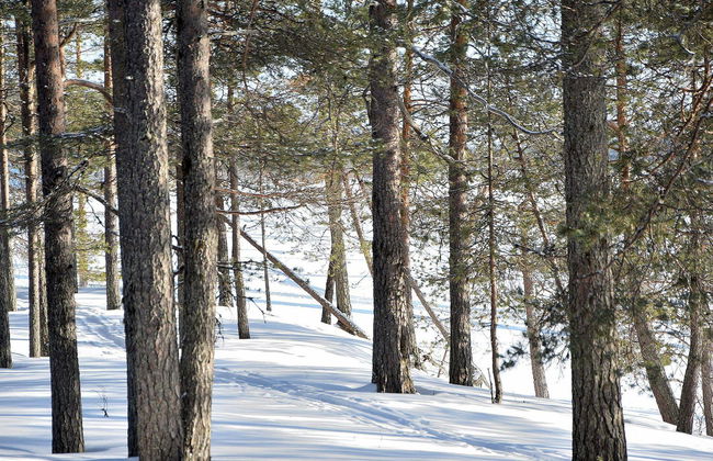 Villa livo - Foto 35