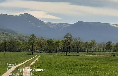 Apartament Sasanka - Foto 30