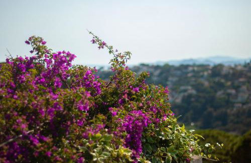 CBA COSTA BRAVA - Santa Monica - Foto 34