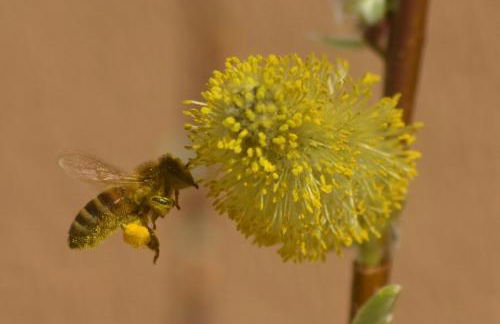Ferienhaus Liwi - Foto 26