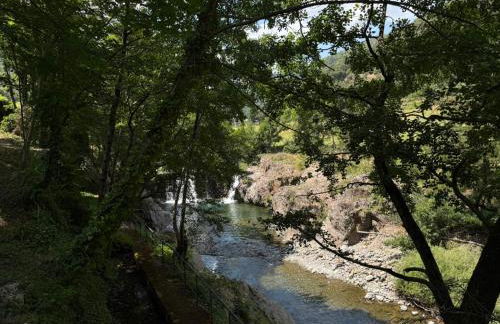 Les Cèdres - Foto 53