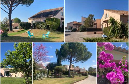 Les Bougainvillées de Camargue - Photo 7