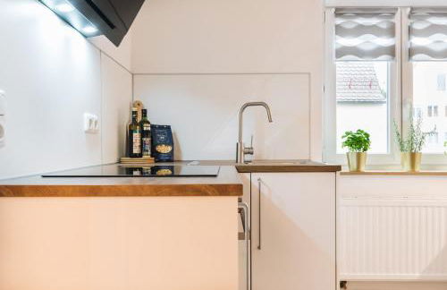 #1 AUGSBURG Altstadtjuwel - Foto 13