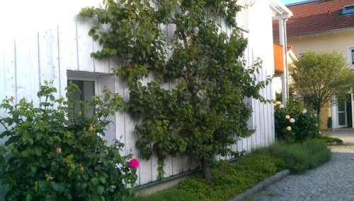 Ferienwohnung Schuster - Foto 3