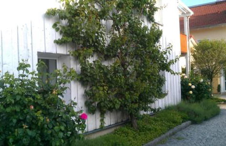 Ferienwohnung Schuster - Foto 3