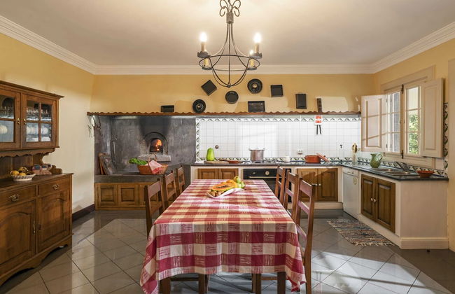 In Laurissilva Forest, Casa do Lanço -carvalho - Foto 23