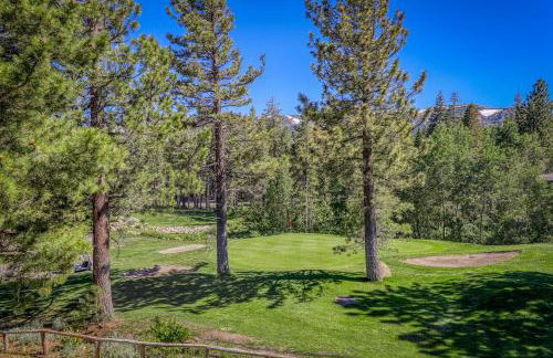 Mammoth Green - 207 - Foto 19