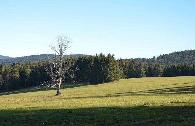 Cozy Forest Adventure Stay - Foto 31