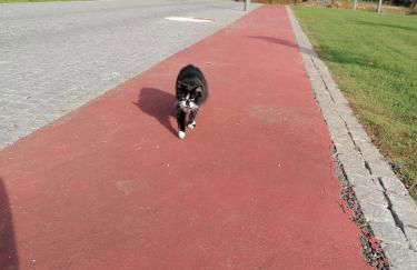 Refúgio Vale da Pipa - Foto 22