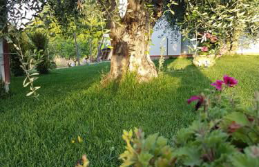 Agriturismo Macchia di Riso - Foto 13