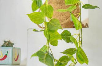 Charmant duplex proche de Cannes centre et à 2min à pied de la mer - Foto 19