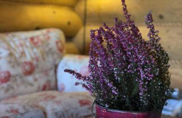 Resetówka - w dzień wyjazdu zostań do wieczora - Foto 14