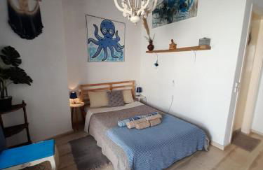 Octopus Blue - Photo 17