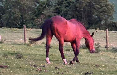 Captains Cottage Dover - Foto 13