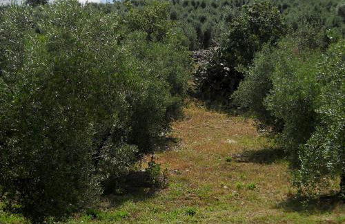 Agriturismo Casale Ré - Foto 12