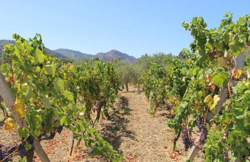 La Casa Dell'antiquario - Foto 11