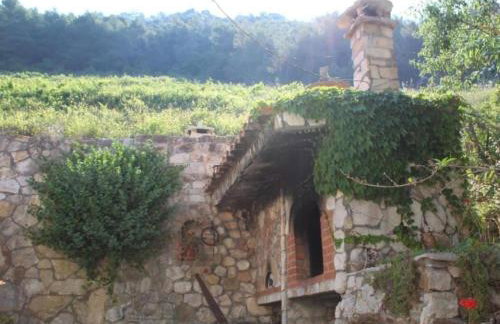 Apartments Stiniva Hvar - One Bedroom Apartment With Terrace A1 - Foto 20