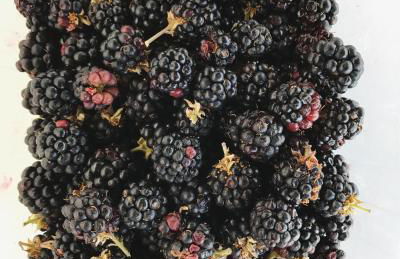 Agriturismo Villani Poderi Nesti & Cupoli - Photo 26