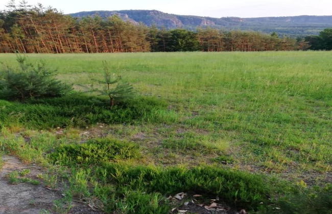 Komfort und Naturflucht, Lichtenhain - Foto 37