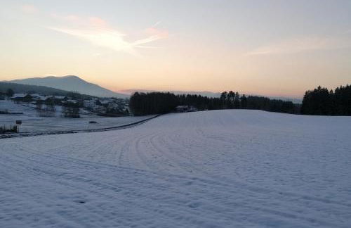 Bayerwald Chalet Liebenstein - Foto 27