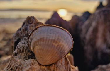 Design-Appartement-Schoenfeld - Foto 22