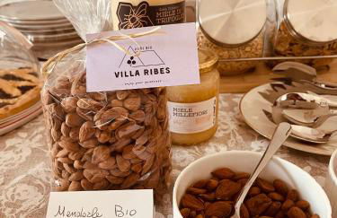 AgriBio Villa Ribes - Photo 40